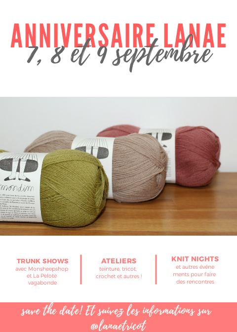 Fete D Anniversaire De Lanae Tricot Mlle Petronille