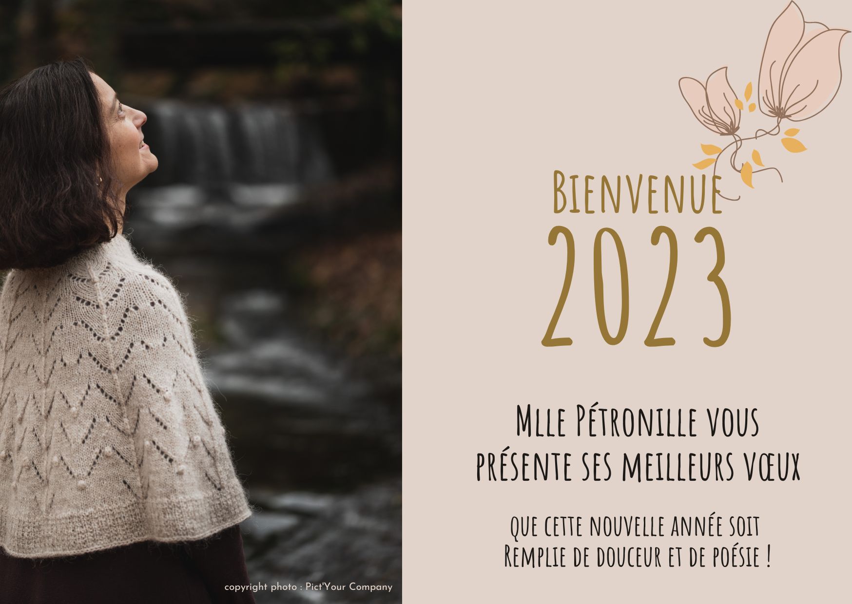 meilleurs vœux
